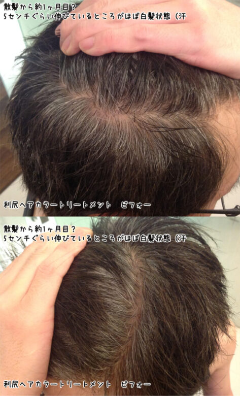 ar髪-アラカミ-散髪後、約1ヶ月ほど放置した髪。根元5センチくらいは白髪（汗
